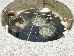 -凤翔首邑温泉度假村