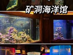 -长鹿旅游休博园