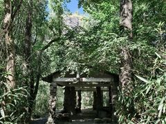 -武夷山风景名胜区-玉女峰
