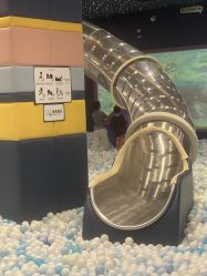 -MELAND CLUB亲子乐园·派对·餐厅(北京芳圆里ID MALL店)
