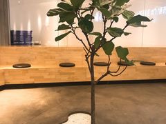 -喜茶(东莞汇一城店)