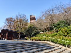 -牛首山文化旅游区