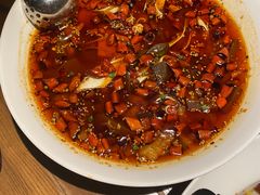 -首秀·四川料理(星耀101店)