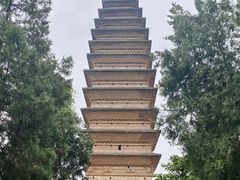 -洛阳白马寺