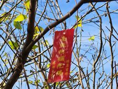 -南翠屏公园