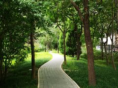 -北极寺公园