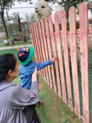 -萌宠亲子动物乐园(槐房万达店)