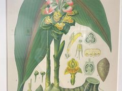 -湖北省美术院美术馆