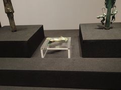 -广西壮族自治区博物馆