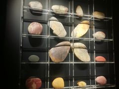 -金沙遗址博物馆