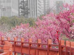 -艾溪湖湿地公园