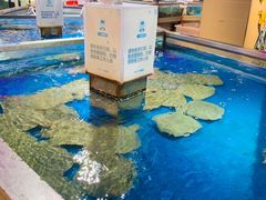 -盒马鲜生(悦峰店)