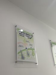 -凡碧诗毛孔清洁收细