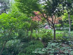 -上海醉白池公园