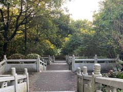 -四望岗公园