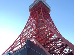 -东京塔海贼王主题公园