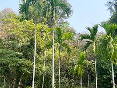 -三亚南山文化旅游区