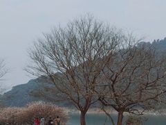 -广州市流溪河国家森林公园