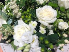 -植物学家的女儿(北马道巷店)