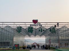 -建德果蔬乐园绪塘草莓基地