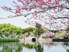 -无锡蠡湖国家湿地公园-蠡园