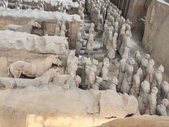 -秦始皇兵马俑博物馆-停车场