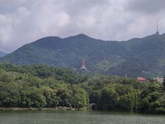-深圳仙湖植物园