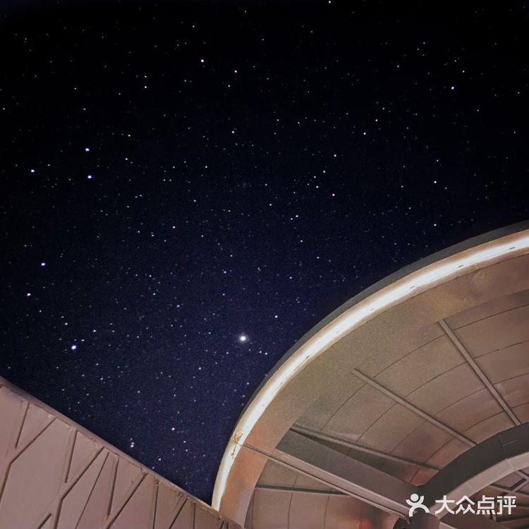 佛山小众打卡地标｜分分钟出大片