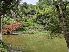 -莫干山风景区