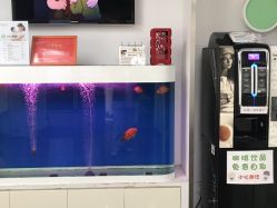 -圣瑞医疗上海圣恩儿科门诊部