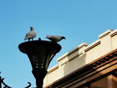 -王府井奥莱临潼小镇(临潼店)