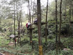 -梦幻奥陶纪景区