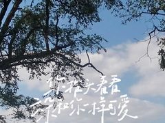 -北固山景区