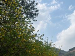 -北京西山国家森林公园