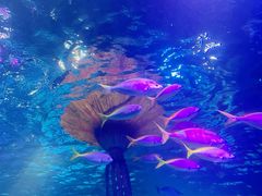 -沈阳海洋探索中心