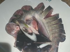 -老福耶小草帽石锅鱼(奥体店)
