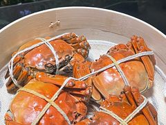 -黄记大闸蟹专卖店·活蟹·醉蟹