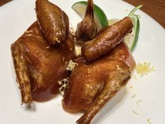 -觅唐MITONG(鸟巢店)