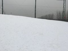 -万源龙顺度假庄园生态观光园