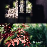 苏州深度游｜小长假出发啦｜四天三晚攻略