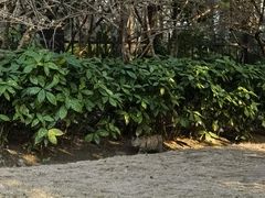 -黄兴公园