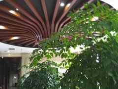 -家富富侨(西城店)