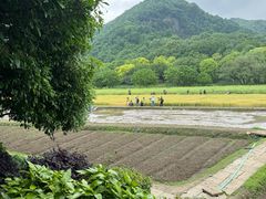 -八卦田遗址公园