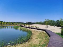 -东郊湿地公园