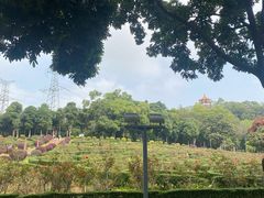 -紫马岭公园