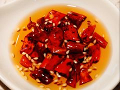 -船歌·鱼水饺青岛菜(金狮广场店)