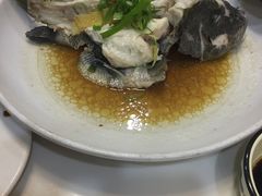清蒸包公鱼-鑫悦楼煎蟹·16年海鲜大排档