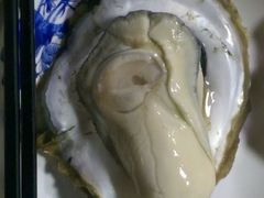 -大富蚝乌东哥饭店·石锅鱼杂·柠檬鸭(革新路店)