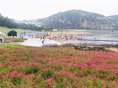 -在海一方公园