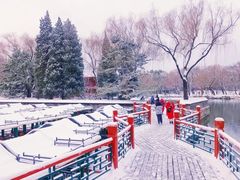 -颐和园